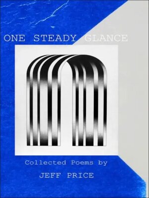 cover image of One Steady Glance